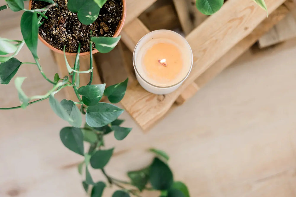 How To Prevent Tunneling in Candles with Proper Candle Care