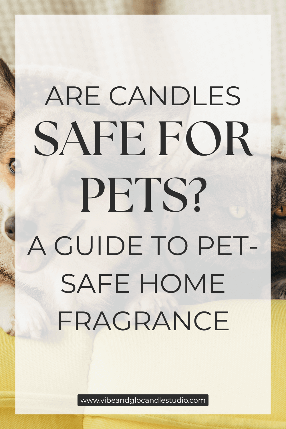 Are Candles Safe for Pets? A Guide to Pet-Safe Home Fragrance - Vibe & Glo Candle Studio