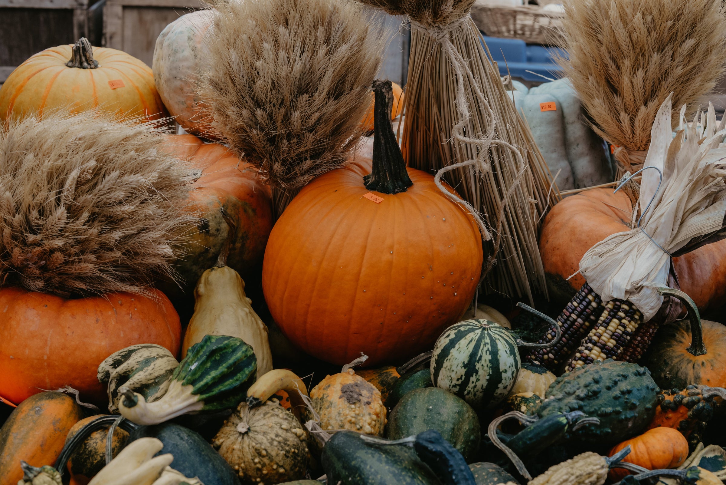 Vibe & Glo Fall 2025 Collection with four coconut soy candles, matching car diffusers, and a room + linen spray in scents Crisp + Cozy, Pumpkin + Oak, Cedar Skies, and Baked Apples + Maple Crisp, styled on pedestals with a cozy blanket backdrop.