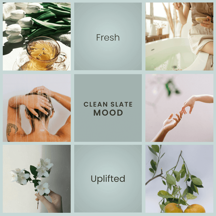 Clean Slate Candle | Mandarin, Bergamot, White Tea Scent