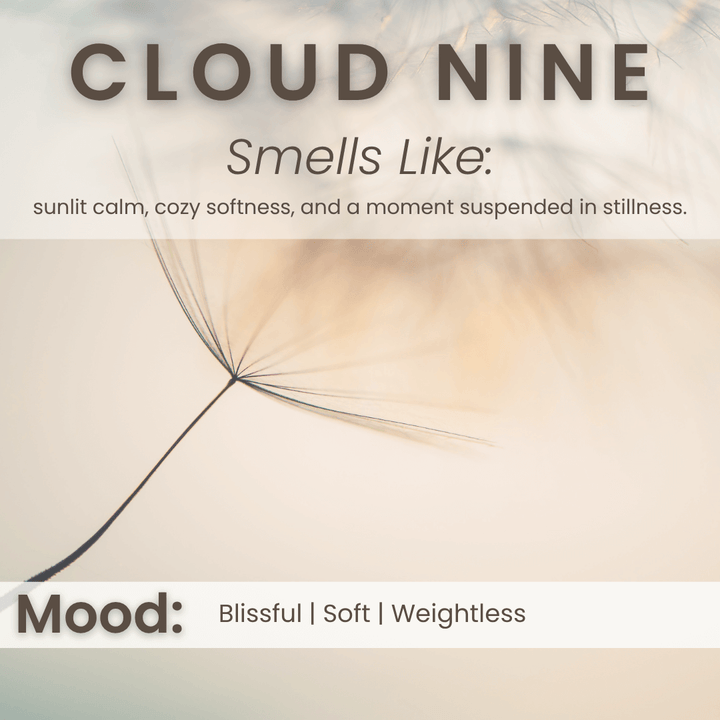 Cloud Nine – Cashmere Soy Wax Melts - Vibe & Glo Candle Studio