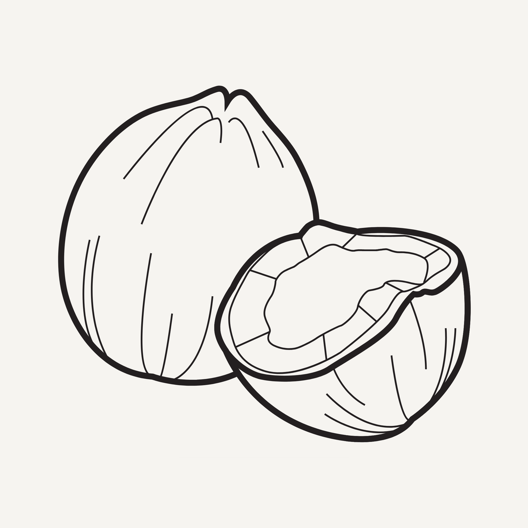 Coconut illustration icon representing the clean-burning coconut soy wax blend in Vibe & Glo candles.