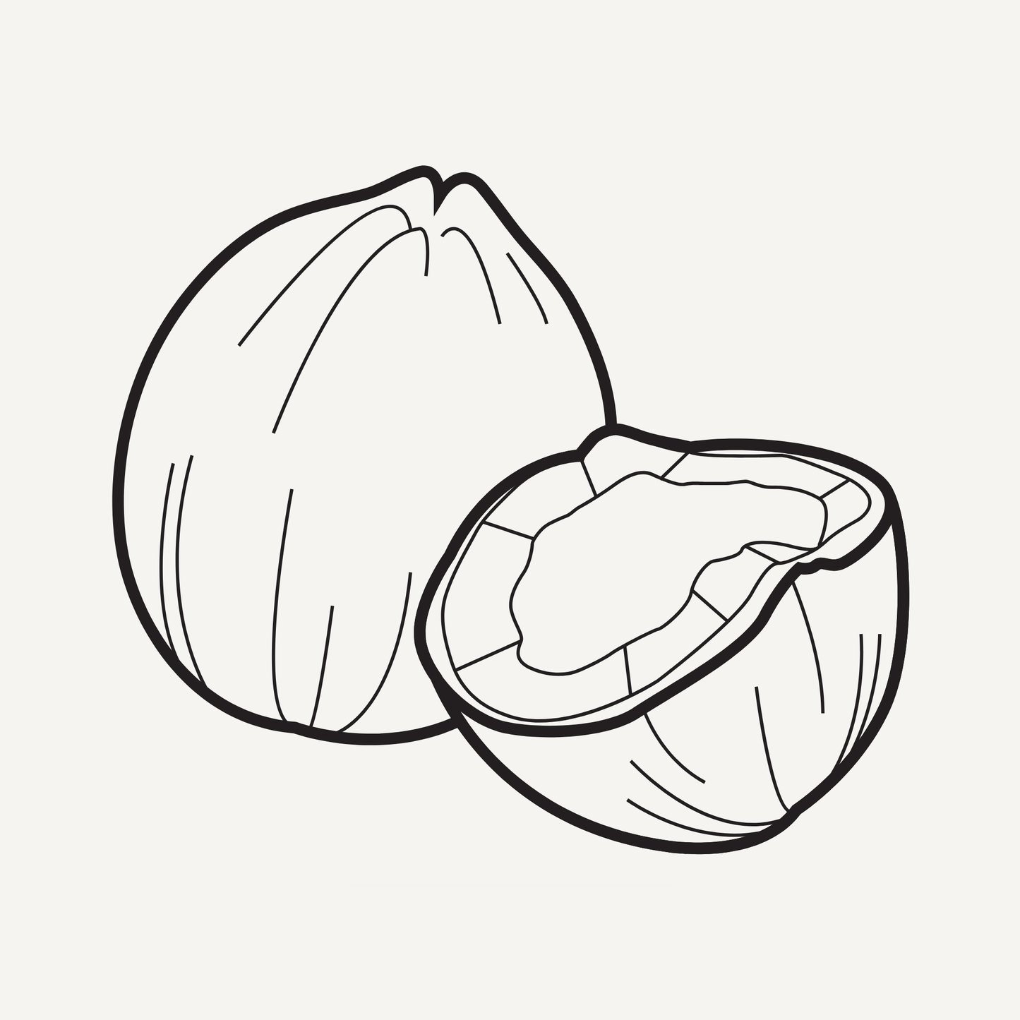 Coconut illustration icon representing the clean-burning coconut soy wax blend in Vibe & Glo candles.