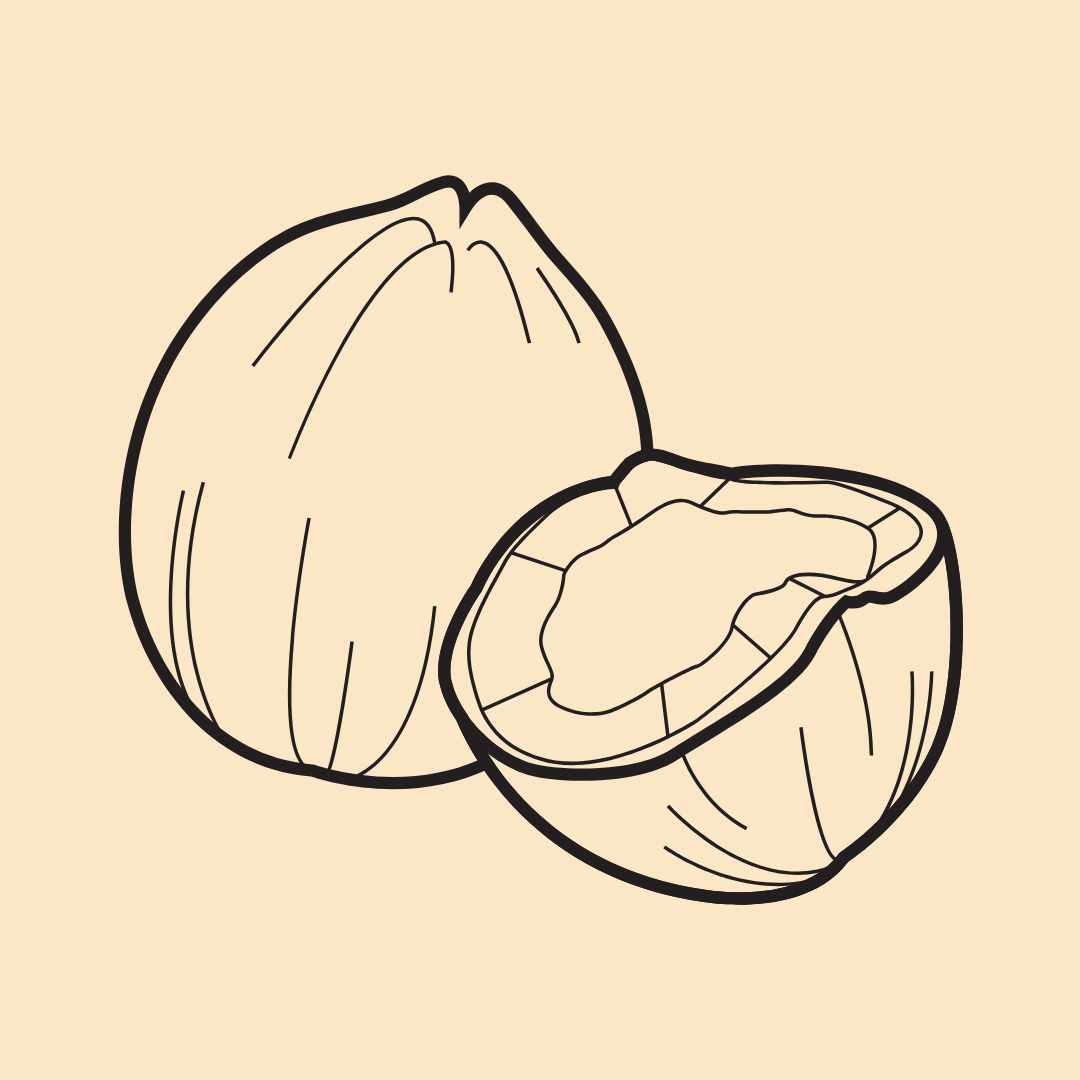 Minimalist line drawing of a whole coconut and a halved coconut with liquid inside, on a neutral beige background.