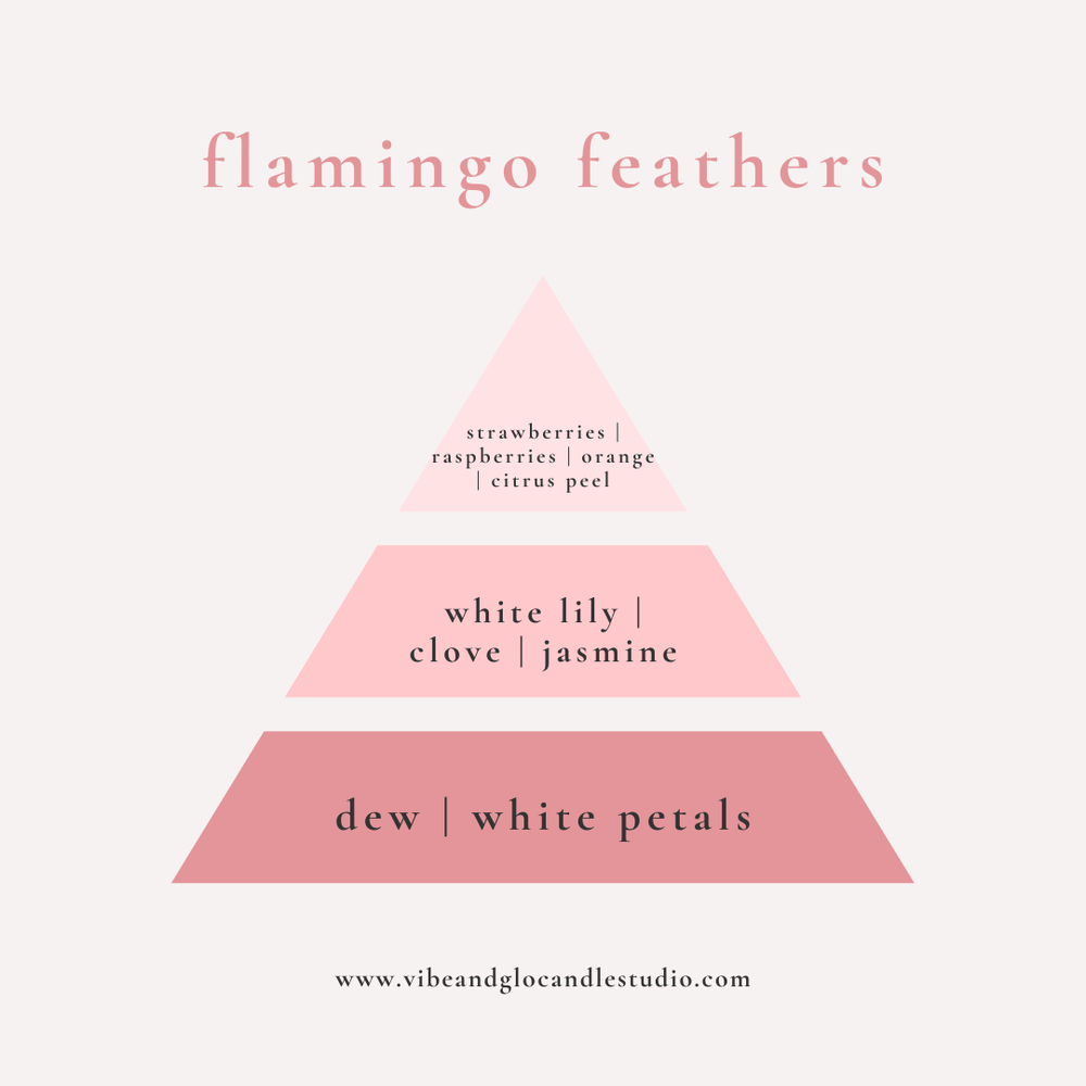 
                  
                    Flamingo Feathers Coconut Soy Candle - Vibe & Glo Candle Studio
                  
                
