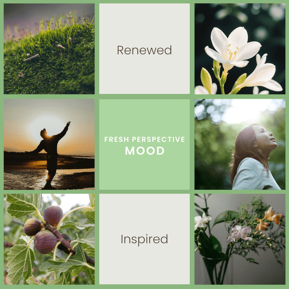 Fresh Perspective – Bamboo & Jasmine Soy Wax Melts - Vibe & Glo Candle Studio