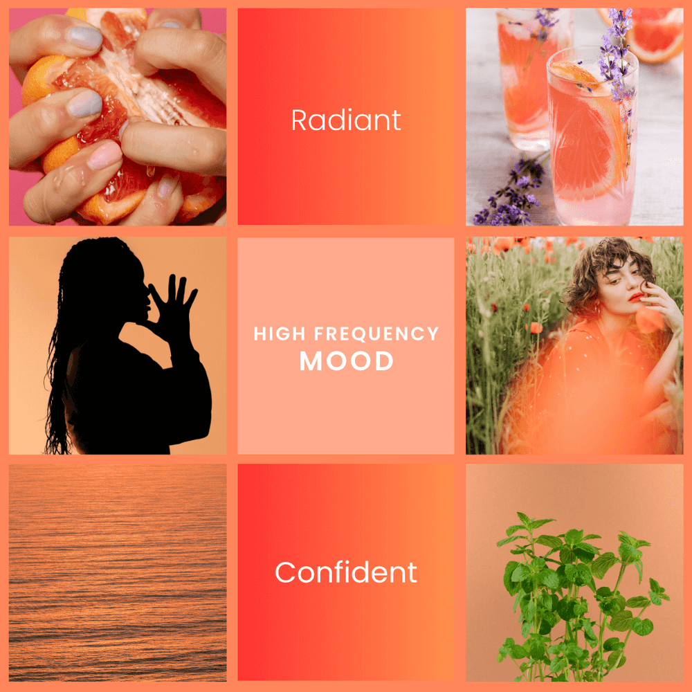 High Frequency – Grapefruit & Mint Soy Wax Melts - Vibe & Glo Candle Studio