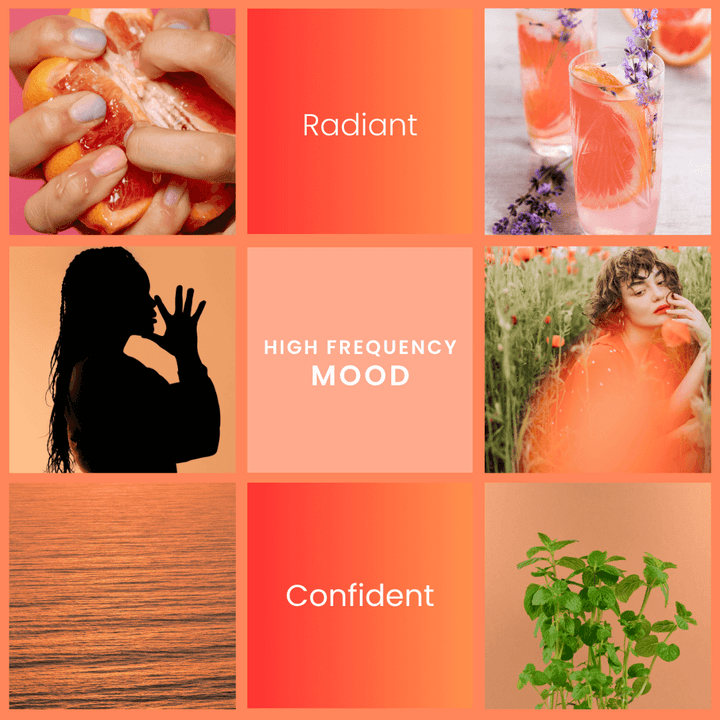 High Frequency – Grapefruit & Mint Soy Wax Melts - Vibe & Glo Candle Studio