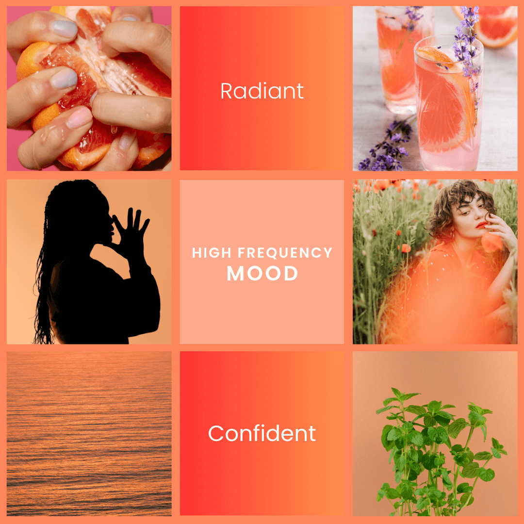 High Frequency Candle | Grapefruit, Mint, Lavender Scent