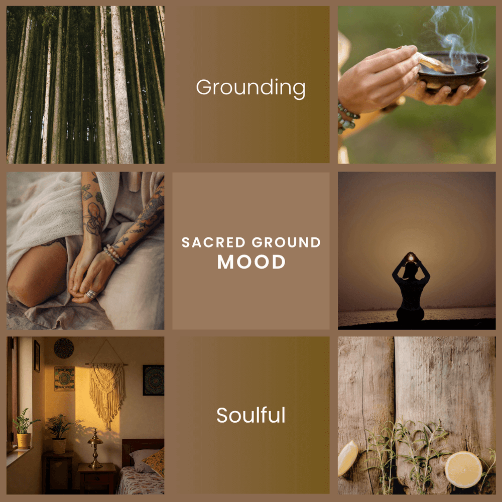 Sacred Ground – Citrus Zest & Palo Santo Soy Wax Melts - Vibe & Glo Candle Studio