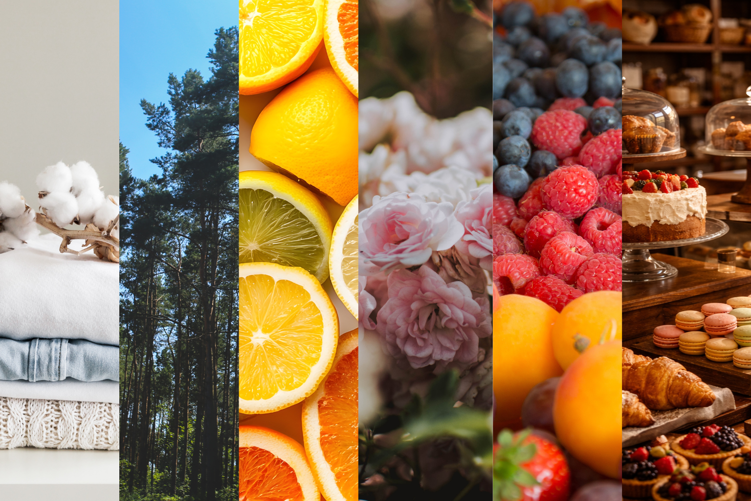 Scent family collage featuring cotton, pine forest, citrus slices, roses, berries, and bakery desserts representing clean, woody, citrus, floral, fruity, and gourmand fragrance notes