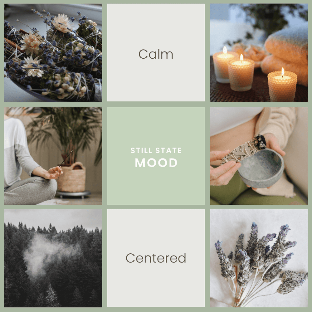 Still State – Lavender & Sage Soy Wax Melts - Vibe & Glo Candle Studio