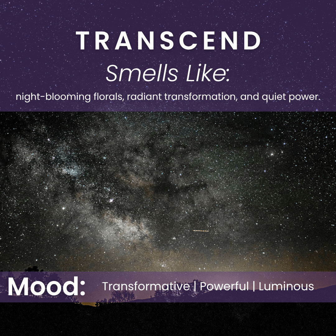 Transcend Candle | Plum, Jasmine, Cedarwood Scent
