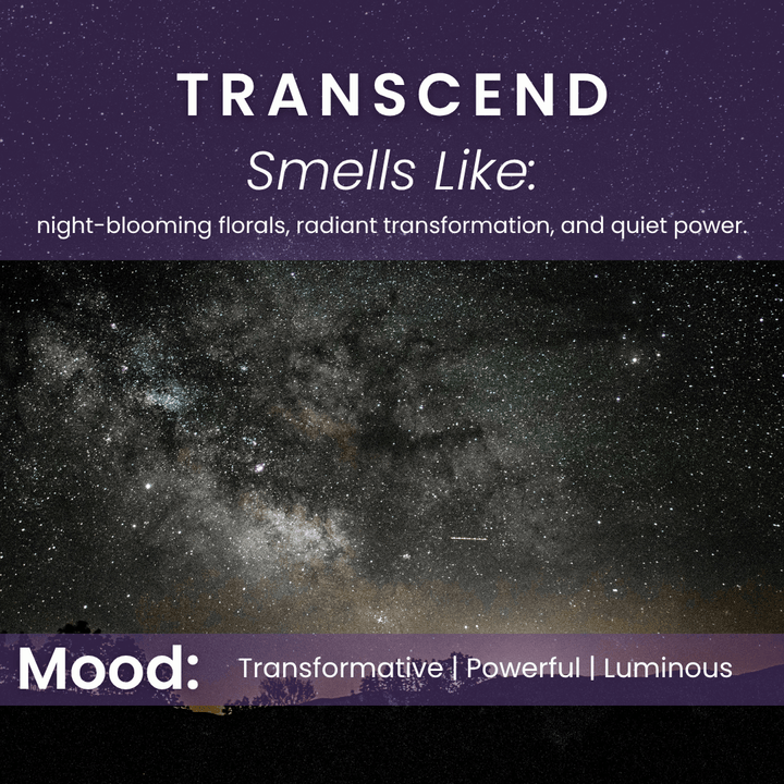 Transcend Candle | Plum, Jasmine, Cedarwood Scent