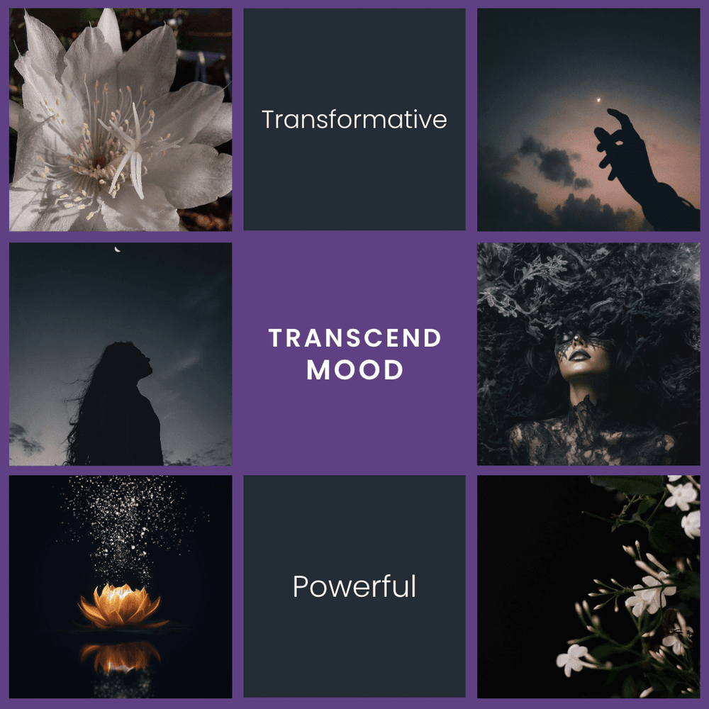 Transcend – Jasmine & Sandalwood Soy Wax Melts - Vibe & Glo Candle Studio