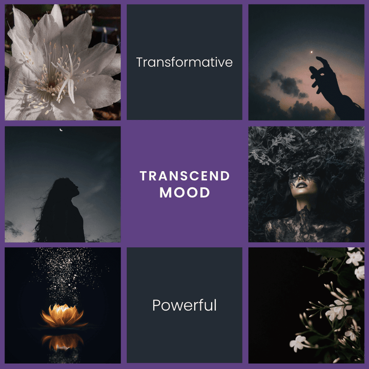 Transcend – Jasmine & Sandalwood Soy Wax Melts - Vibe & Glo Candle Studio