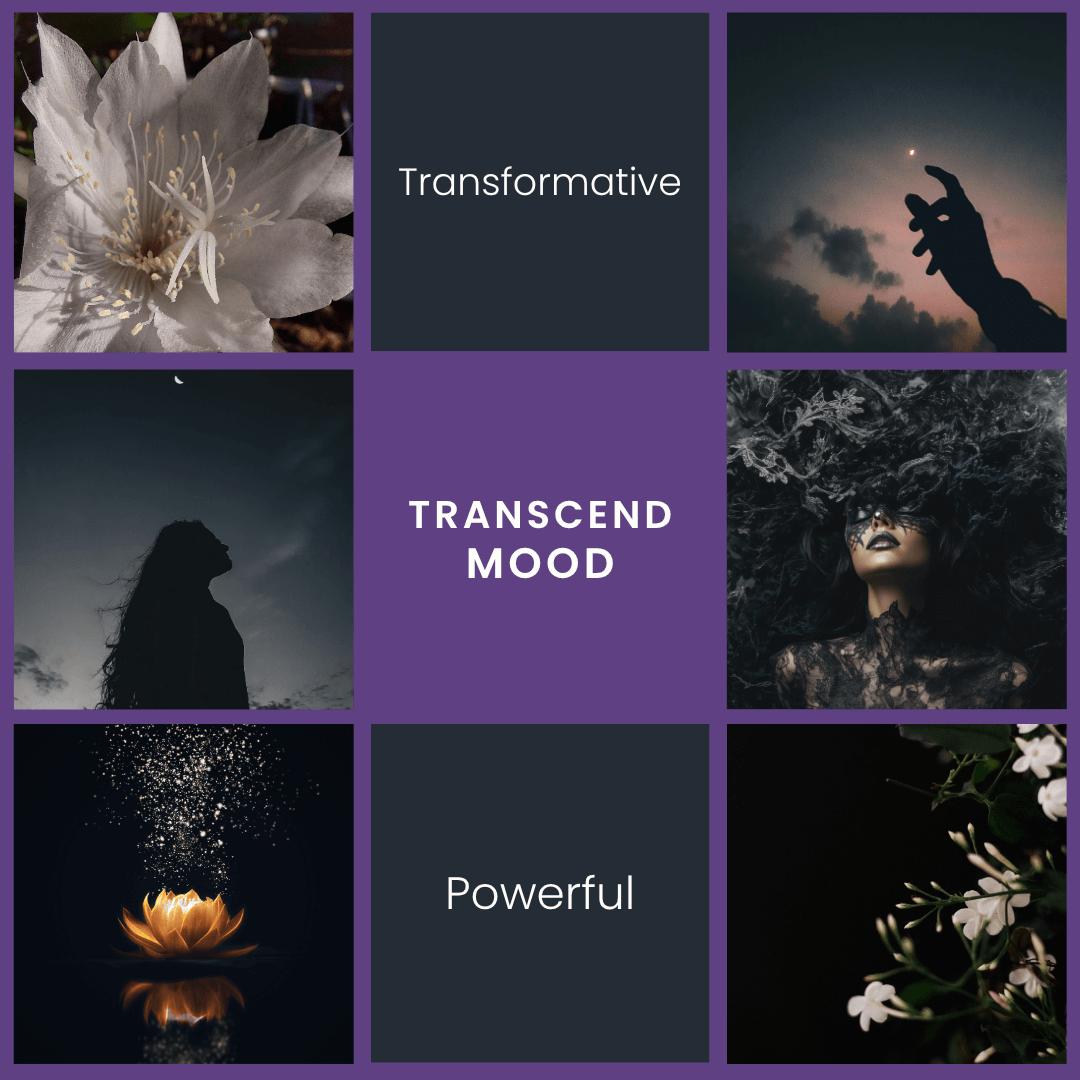 Transcend Candle | Plum, Jasmine, Cedarwood Scent