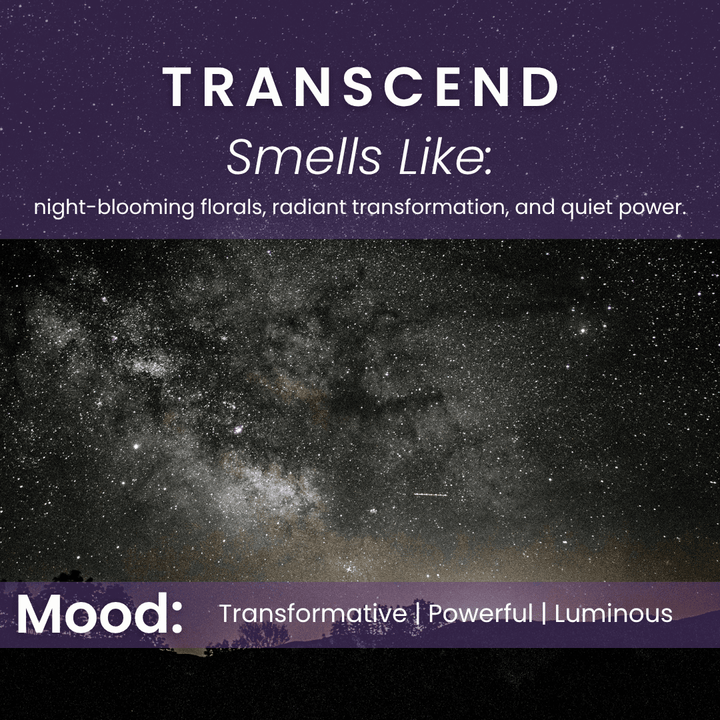 Transcend scent mood image featuring a starlit sky and cosmic depth symbolizing night-blooming florals, transformation, and luminous strength.