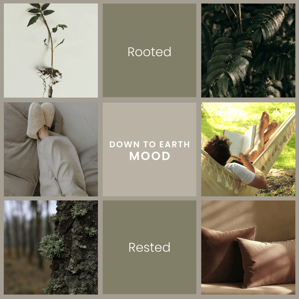 Down to Earth mood board by Vibe & Glo featuring rooted and rested imagery such as plant roots, deep-green foliage, cozy slippers, a person reading in a hammock, tree bark with moss, and soft neutral pillows to reflect a grounded, calming scent mood.