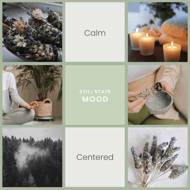 Still State scent mood graphic by Vibe & Glo inspired by lavender fields, herbal calm, and a centered, restorative mood.